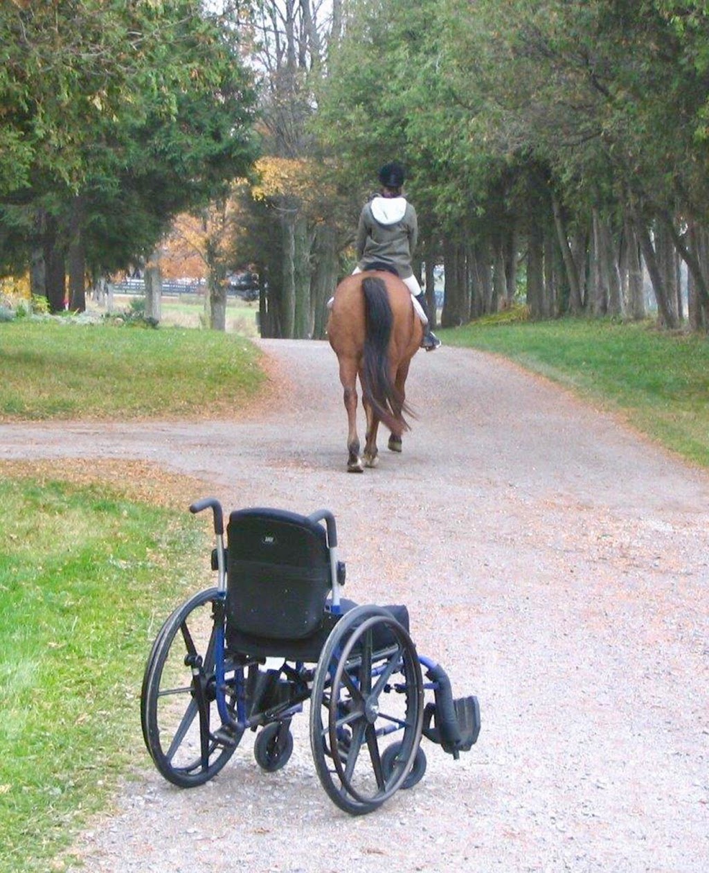 Sunrise Therapeutic Riding & Learning Centre | 6920 Concession 1, Puslinch, ON N0B 2J0, Canada | Phone: (519) 837-0558