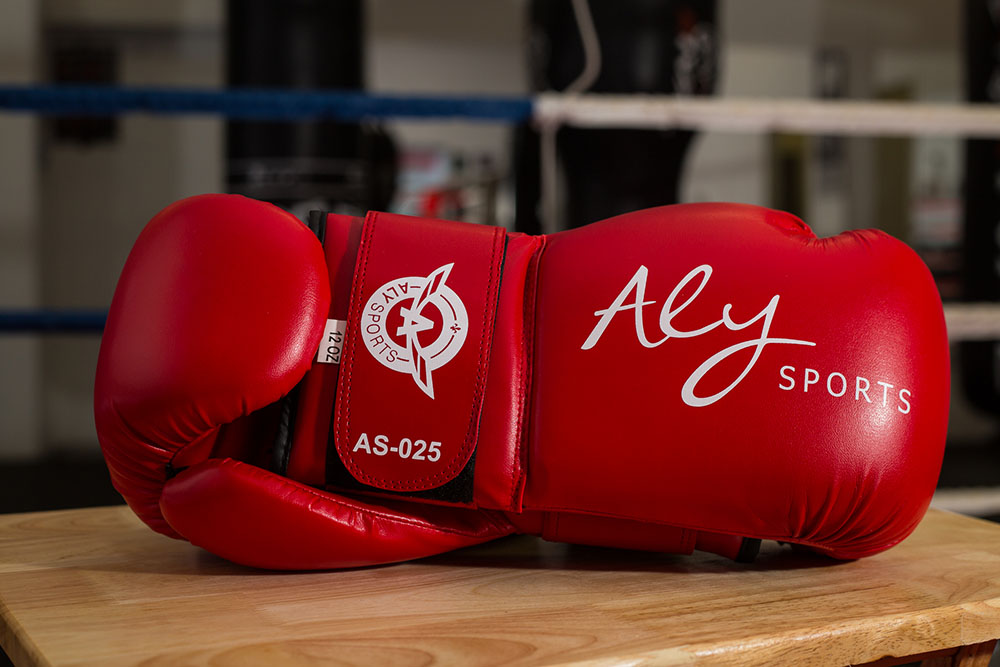 Club De Boxe Aly, Cous De Boxe Pour Débutants Et Compétiteurs De | 449 Avenue St Jean, Sainte-Marie, QC G6E 2E2, Canada | Phone: (418) 386-2693