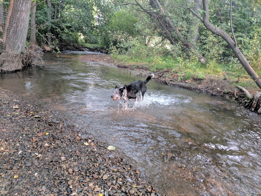 Creekside Off-Leash Dogpark | Coldstream, BC V1B, Canada