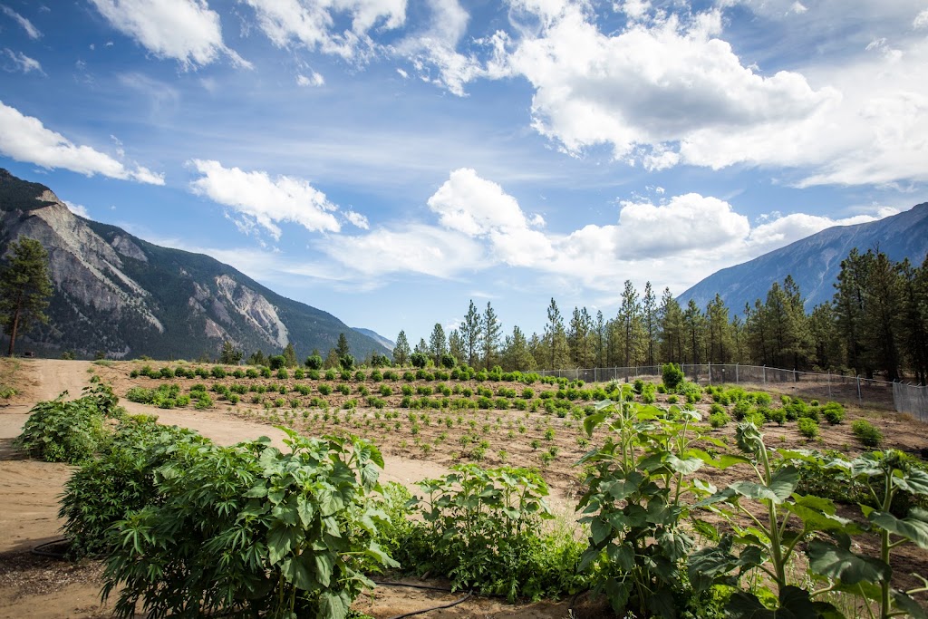 EarthWolf Farms | 1199 Whitney Rd, Lillooet, BC V0K 1V0, Canada | Phone: (604) 902-1324