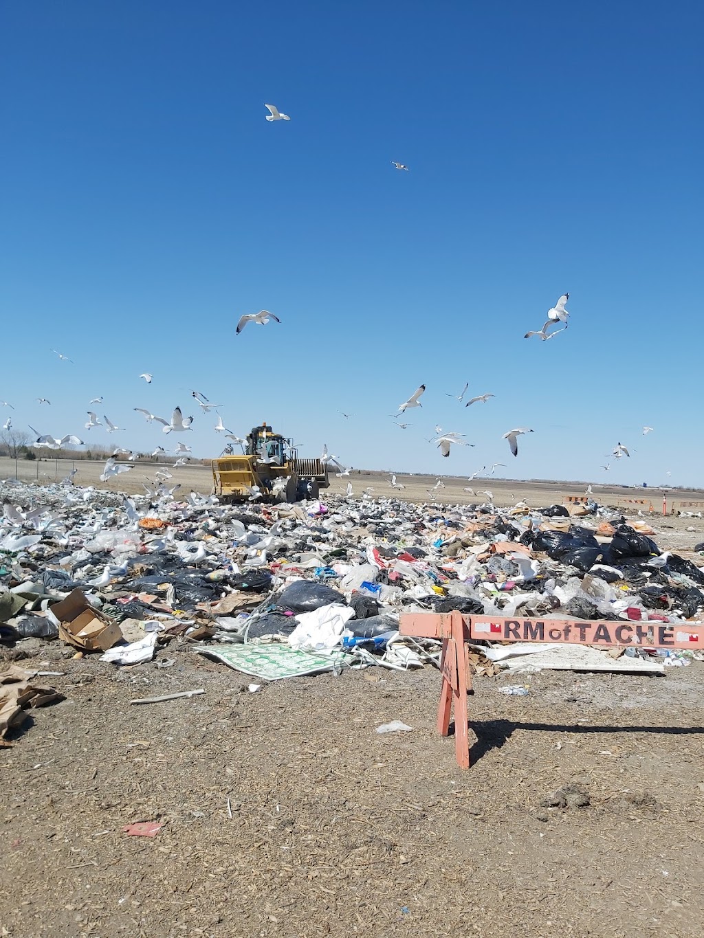 Lorette Waste Management | 48028 Mun 25E, Lorette, MB R0A 0Y0, Canada | Phone: (204) 878-2799