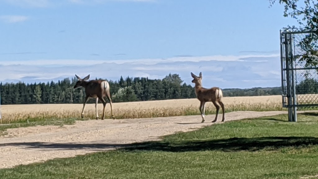 Hidden Valley Golf Course | 64110 Range Rd 12, Fawcett, AB T0G 0Y0, Canada | Phone: (780) 954-2262