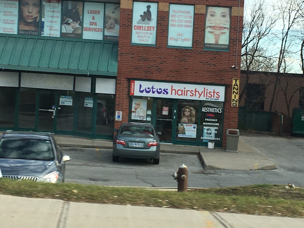 Lotos Hairdresser | 1900 Dundas St E, Mississauga, ON L4X 2Z4, Canada | Phone: (905) 277-0879