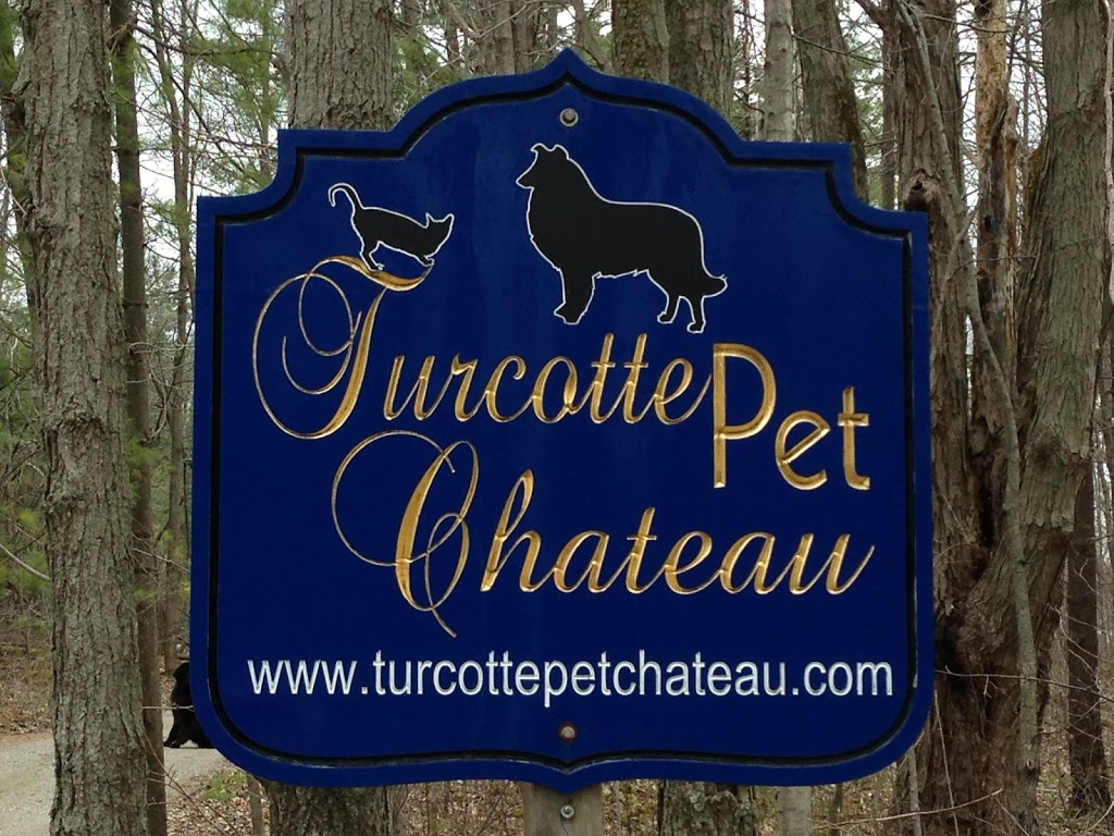 Turcotte Pet Chateau | 7329 17 Side Rd, Acton, ON L7J 2M1, Canada | Phone: (519) 853-3985