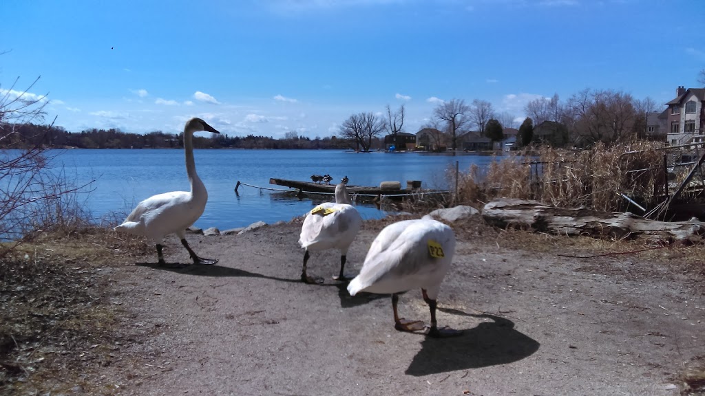 North Shore Parkette | Lakeside Crescent, Richmond Hill, ON L4E 3B9, Canada