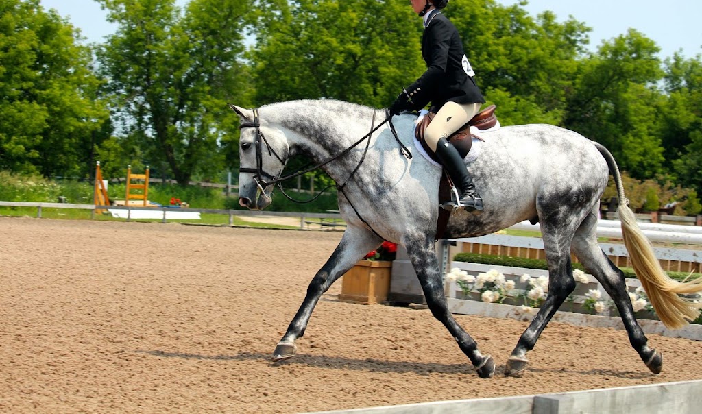 Wynbrook Equestrian Centre | 6222 Dunning Rd, Vars, ON K0A 3H0, Canada | Phone: (613) 371-5293