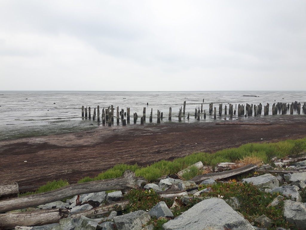 Boundary Bay Dyke | 2 British Columbia 7, Vancouver, BC V5Y 1P1, Canada