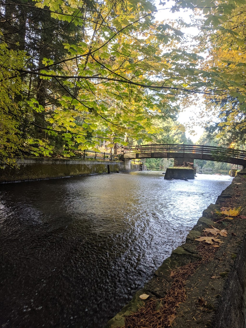 Colliery Dam Park | 635 Wakesiah Ave, Nanaimo, BC V9R 3L2, Canada | Phone: (250) 754-4251