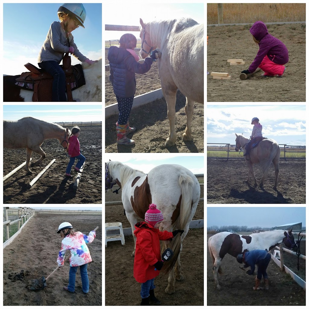 Lasting Strides Equine Assisted Learning | 255219, Range Rd 281, Calgary, AB T2P 2G7, Canada | Phone: (403) 836-8869
