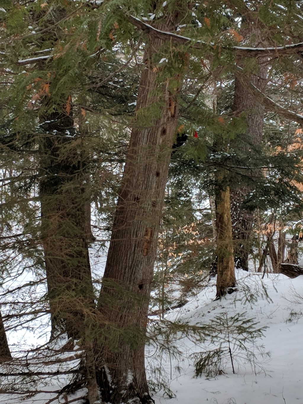 Lac Philippe - Parc de la Gatineau | 300 Chemin du Lac-Philippe, Sainte-Cécile-de-Masham, QC J0X 2W0, Canada | Phone: (866) 456-3016