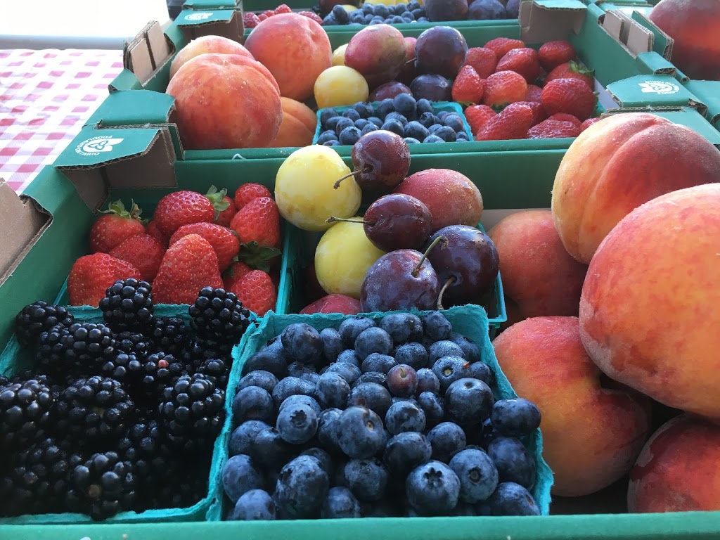 Fenwick Berry Farm: Barn & Retail (Berry Fresh Farms) | 1760 Balfour St, Fenwick, ON L0S 1C0, Canada | Phone: (905) 892-8231