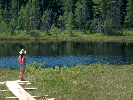 H.N. Crossley Nature Reserve | Miko Ln, Rosseau, ON P0C 1J0, Canada | Phone: (800) 440-2366