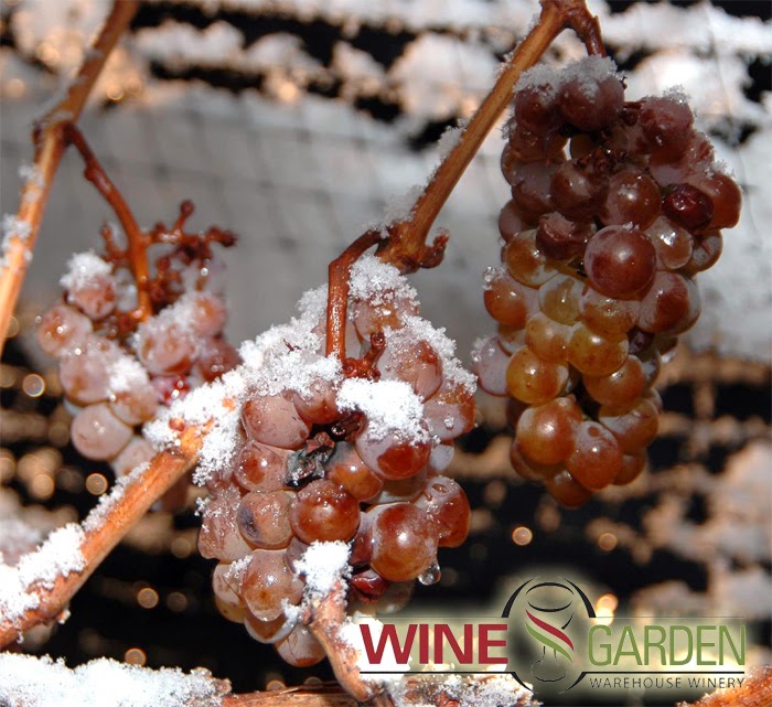 The Wine Garden | 100 Schneider Rd, Kanata, ON K2K 1Y2, Canada | Phone: (613) 270-9083