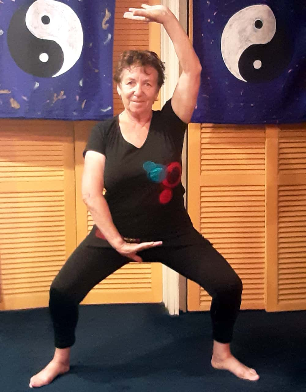 Taichi Qigong by Sandra Mitchell | Rue Toulon, Brossard, QC J4W 2X2, Canada | Phone: (514) 576-4172