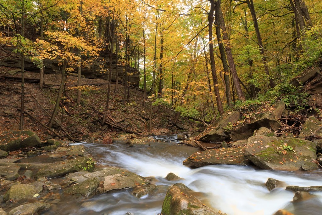 Smokey Hollow Waterfall | 80 Mill St S, Hamilton, ON L0R 2H0, Canada