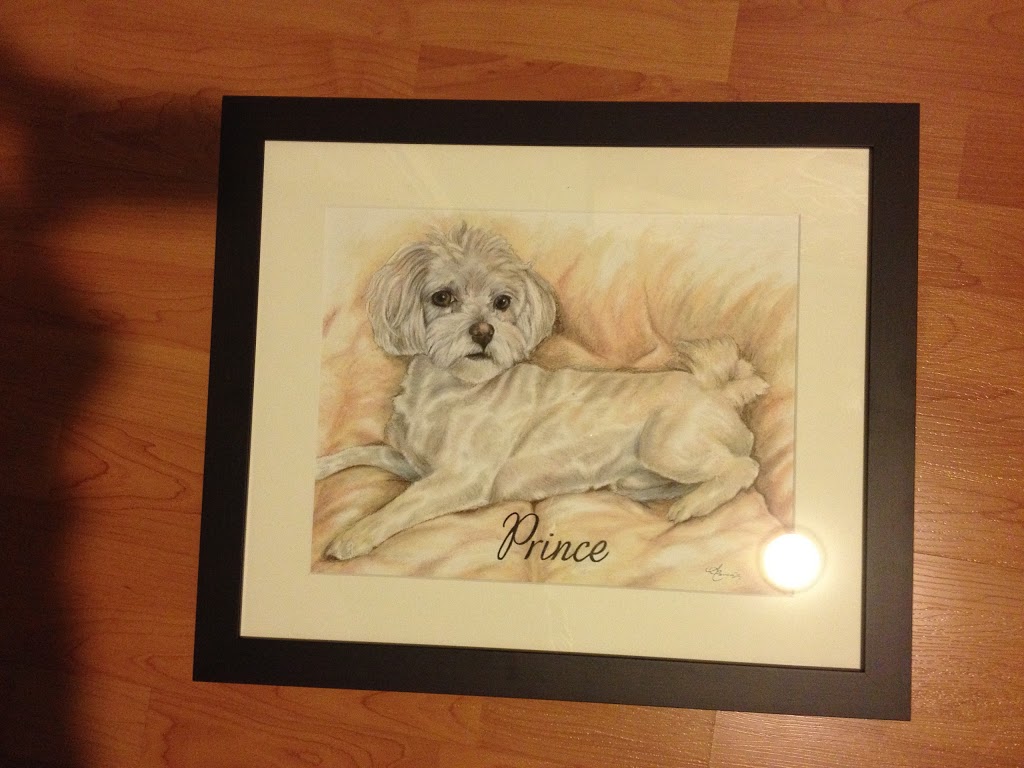 Perfect Pet Portraits | 180 Coronation St, Woodbridge, ON L4L 6M2, Canada | Phone: (416) 882-5598