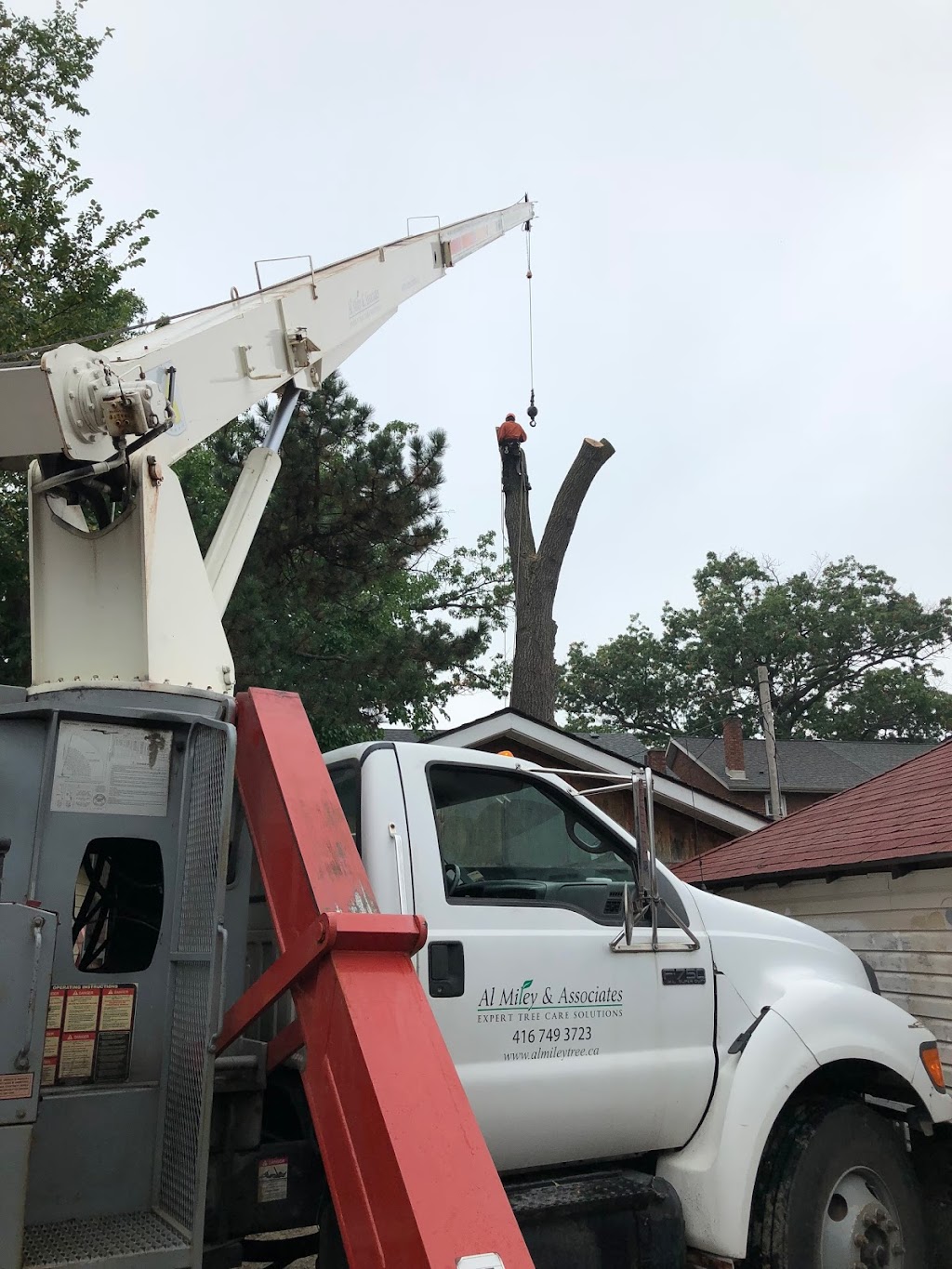 Al Miley Arborist | Tree Removal Toronto | 203 Toryork Dr, North York, ON M9L 1Y2, Canada | Phone: (416) 749-3723