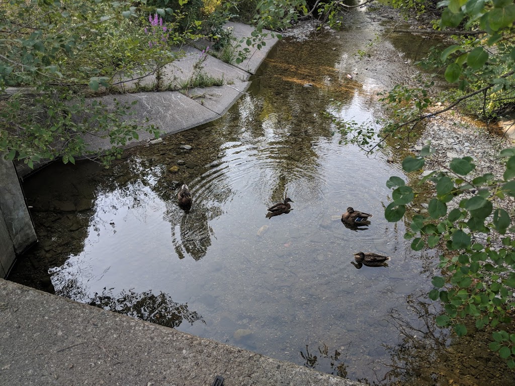 Balmoral Park | Brampton, ON L6T 1V5, Canada