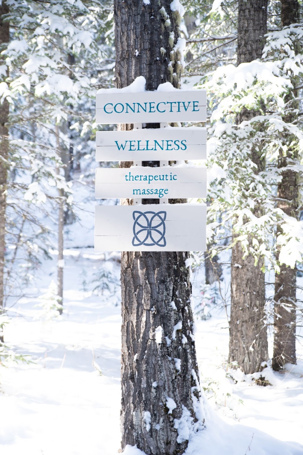 Connective Wellness | Arbour Stone Close NW, Calgary, AB T3G 4T1, Canada | Phone: (403) 999-1471