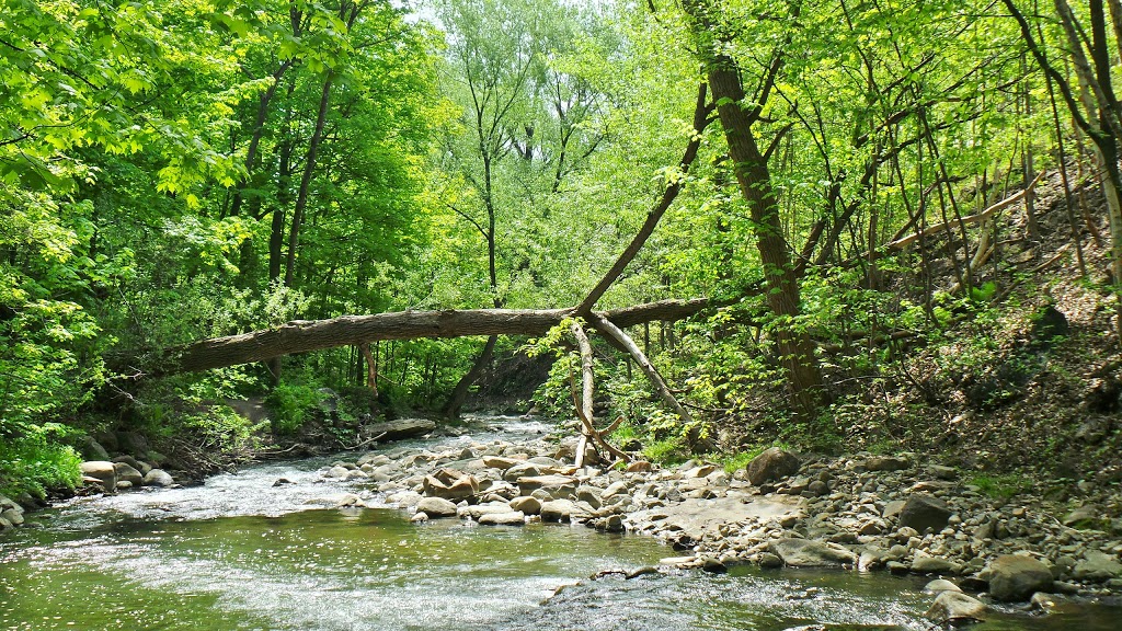 Conseil de bassin de la rivière Beauport (CBRB) | 69 Avenue Juchereau, Québec, QC G1E 6W7, Canada | Phone: (418) 666-6169