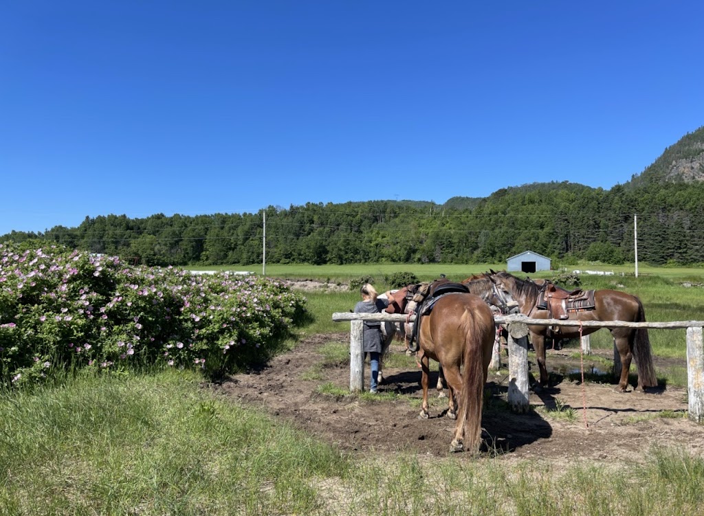 Centre Equestre Des Plateaux | 34 Chem. des Plateaux, LAnse-Saint-Jean, QC G0V 1J0, Canada | Phone: (418) 272-3231