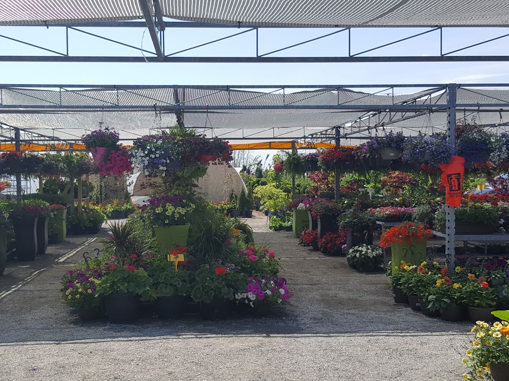 Silver Leaf Nursery and Garden Centre/ Landscaping | 5145 Kalar Rd, Niagara Falls, ON L2H 1T1, Canada | Phone: (289) 214-1967