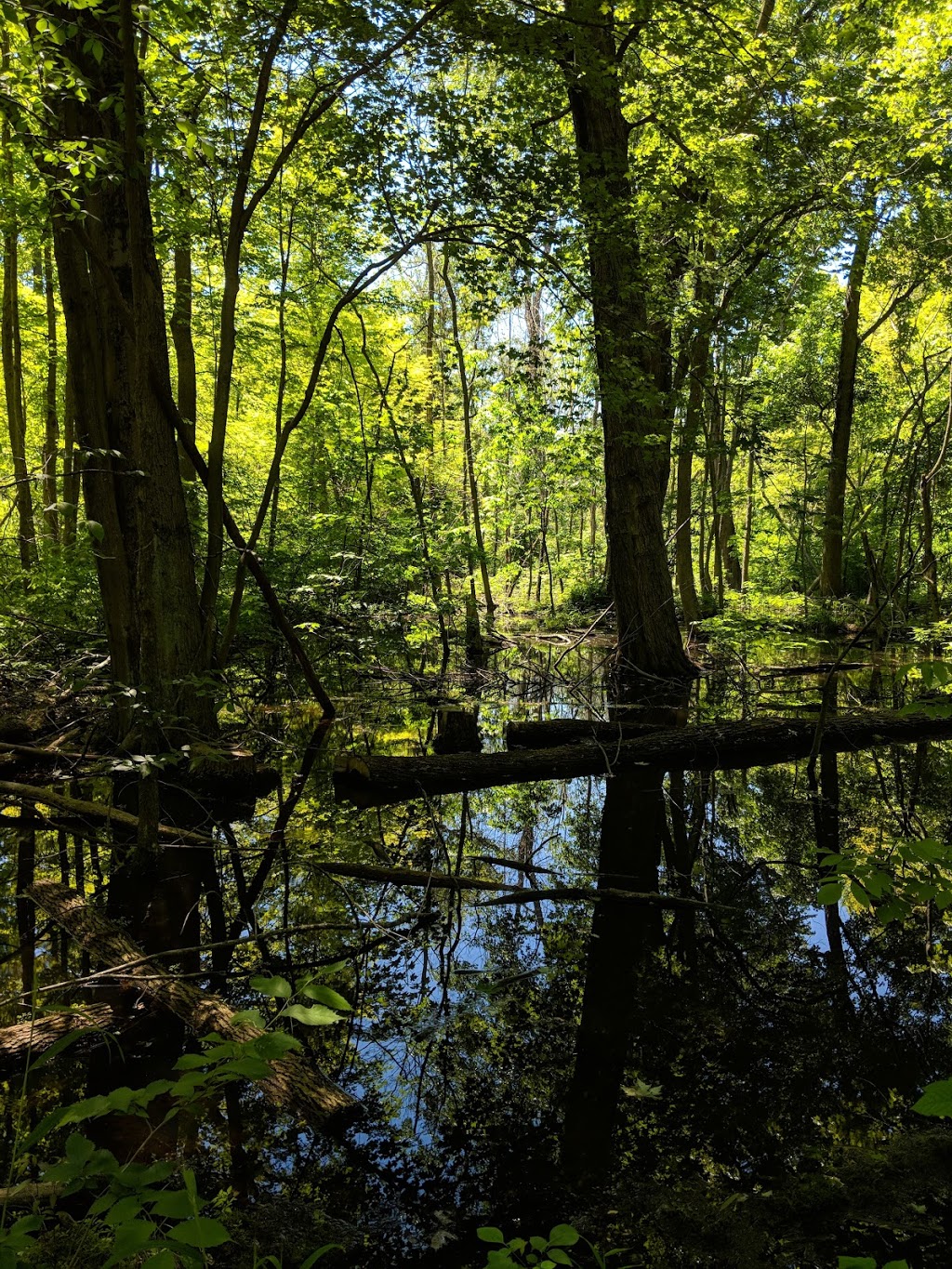 Black Oak Trail | Bennett Rd, Erieau, ON N0P 1N0, Canada