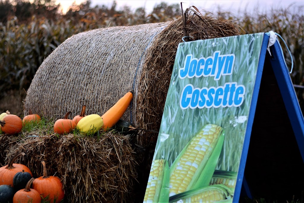 Ferme Jocelyn Cossette | 612 Rang St Pierre, Saint-Narcisse, QC G0X 2Y0, Canada | Phone: (819) 609-4873