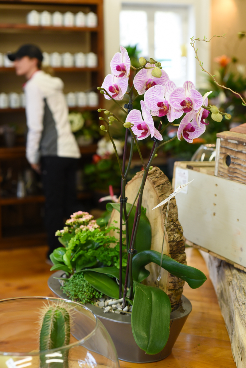 Earthen Elegance Floral | 287 Main St S, Exeter, ON N0M 1S1, Canada | Phone: (519) 235-1500