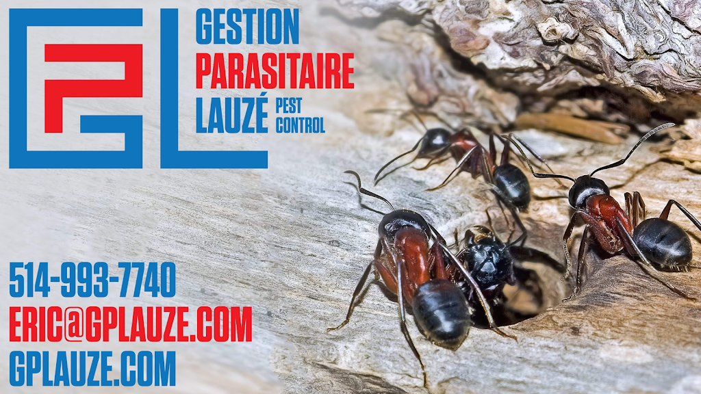 Gestion Parasitaire Lauzé | 9860 Rue Normand, Mirabel, QC J7N 1R3, Canada | Phone: (514) 993-7740