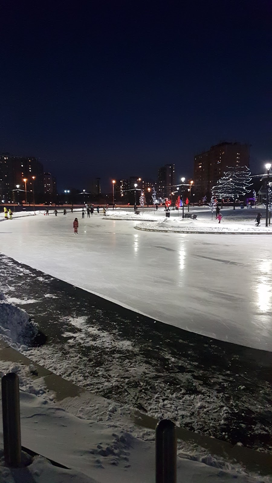 Chinguacousy Park Skate Trail | 9050 Bramalea Rd, Brampton, ON L6S 6G7, Canada | Phone: (905) 458-6555