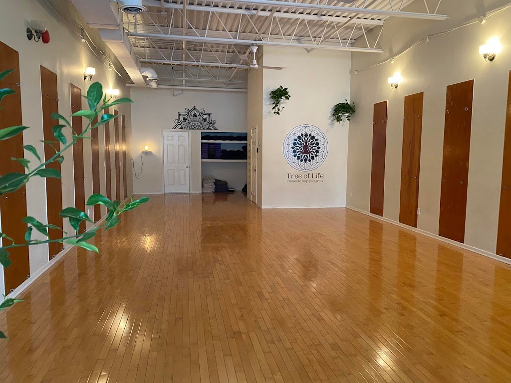 Tree of Life Yoga & Wellness | 10815 Bathurst St, Richmond Hill, ON L4C 9Y2, Canada | Phone: (905) 770-5091