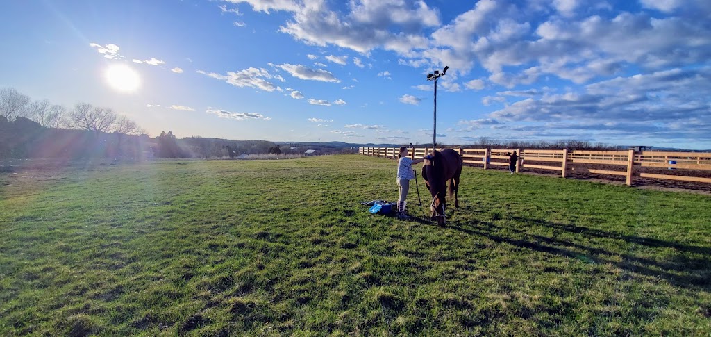 Centre Equestre BQH | 2385 Rang St Joseph, Chicoutimi, QC G7H 5A7, Canada | Phone: (418) 820-5941