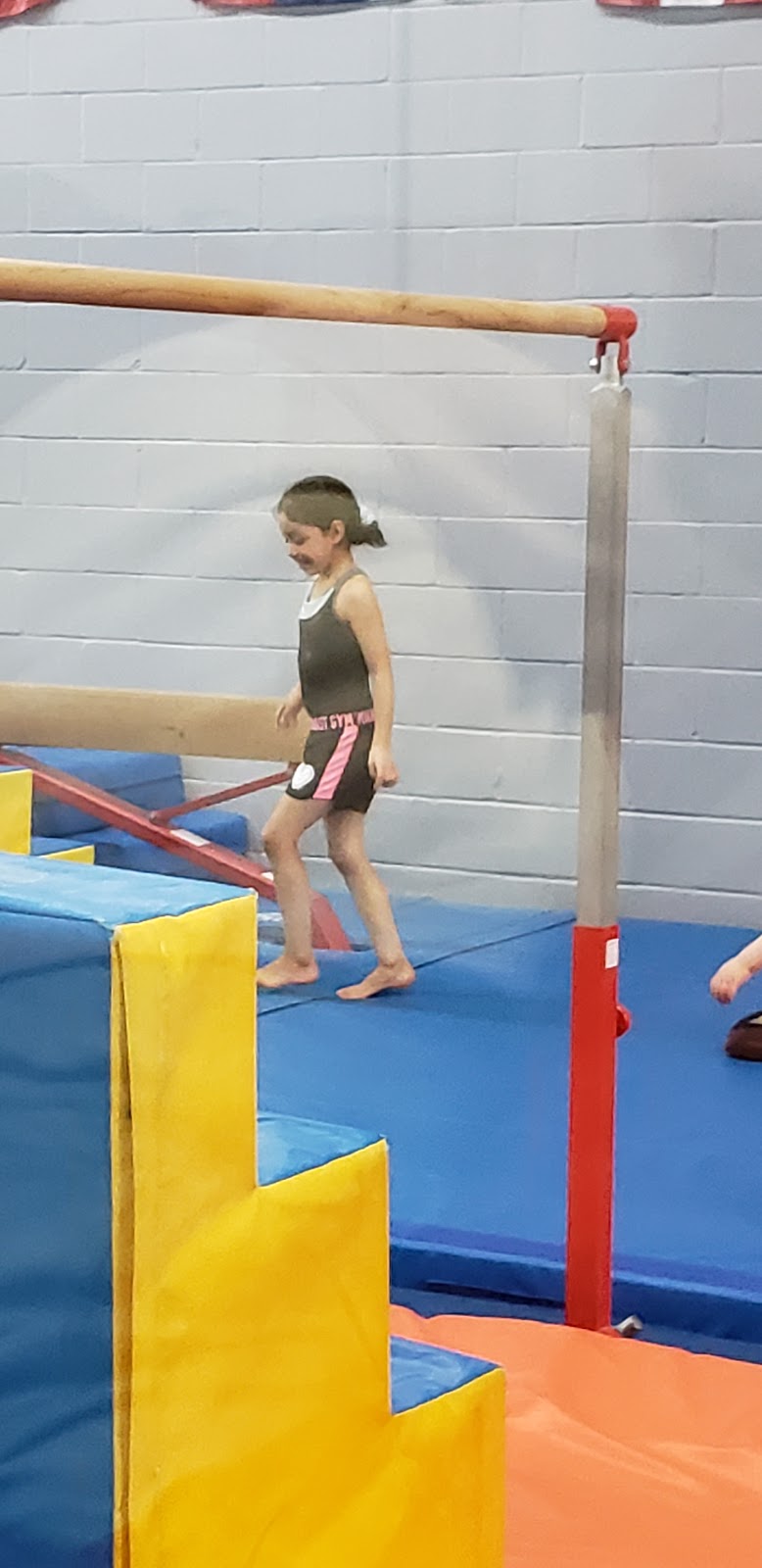 Etobicoke Gymnastics Club | 1186 Martin Grove Rd, Etobicoke, ON M9W 5M9, Canada | Phone: (416) 241-3401