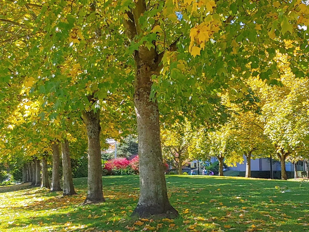 Seawall Water Walk | 1199 W Cordova St, Vancouver, BC, Canada