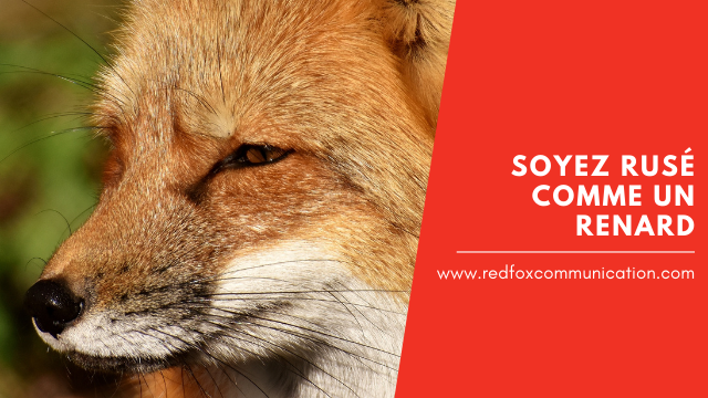 Red Fox Communications | Agence Marketing Web | 3660 Bd de la Cité-des-Jeunes, Vaudreuil-Dorion, QC J7V 8P2, Canada | Phone: (514) 666-9327