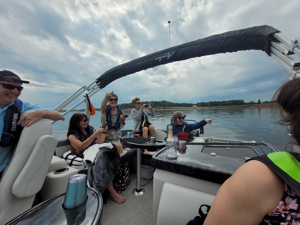 Nova Scotia Family Fun Boat Tours | 87 Caladh Ave, Pictou, NS B2H 3C3, Canada | Phone: (902) 753-6818