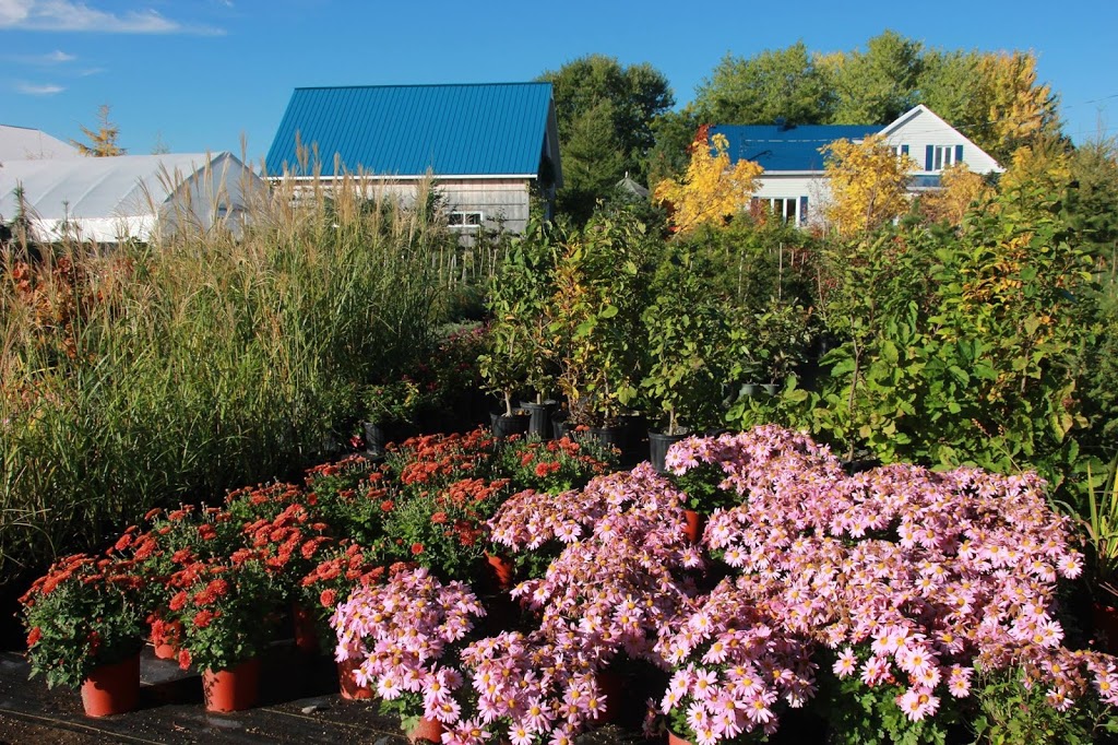 Fleurs Légumes et cie | 3081 Rang du Ruisseau, Sainte-Élisabeth, QC J0K 2J0, Canada | Phone: (450) 803-6339