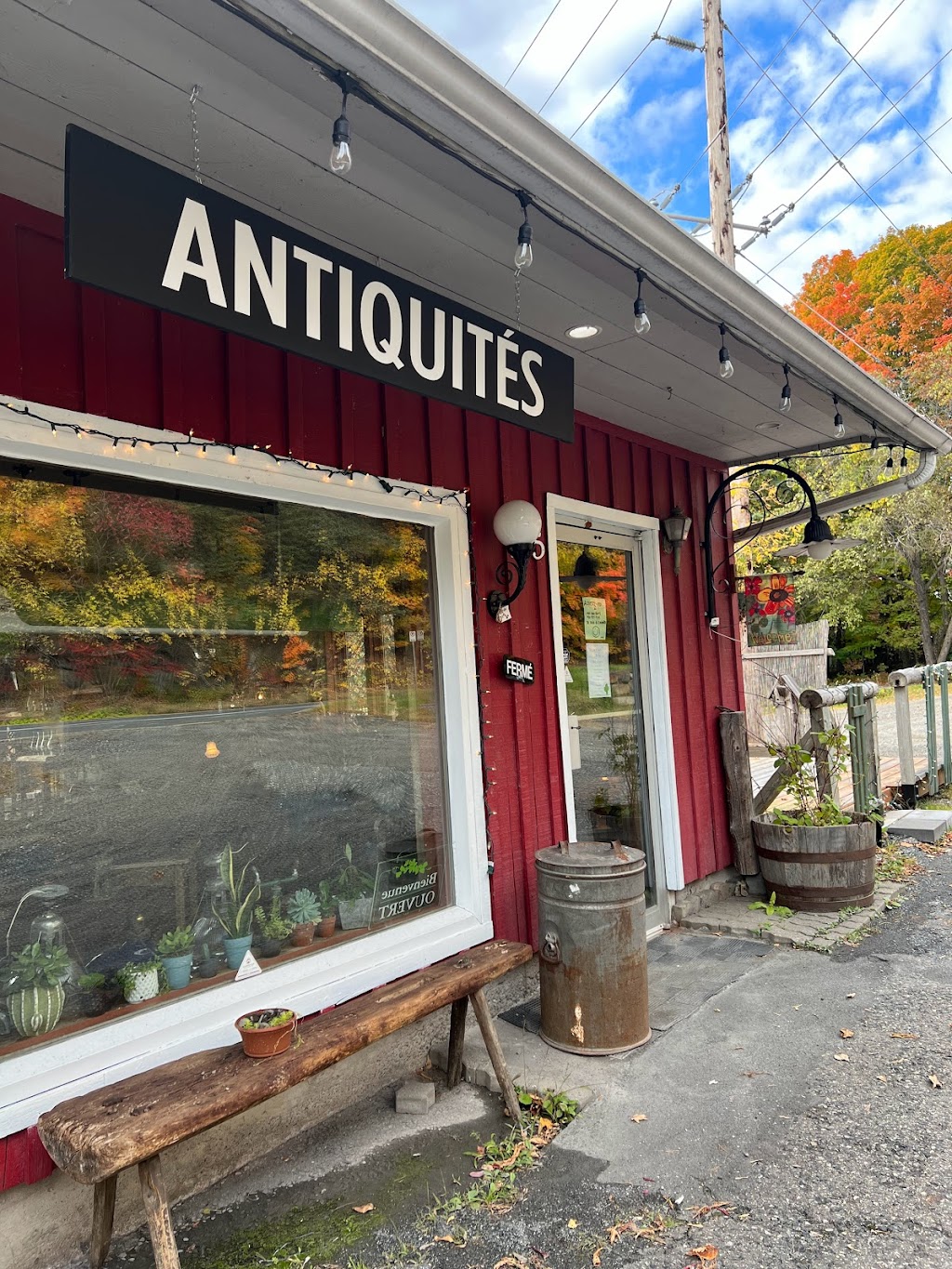 Au petit cactus | 155 Bd Pierre-Laporte, Cowansville, QC J2K 3Z1, Canada | Phone: (450) 577-4261