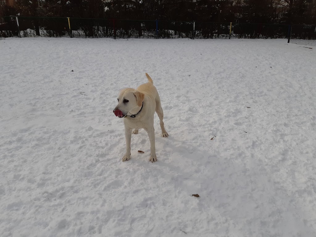 Sault-au-Récollet dog park | 13070 Avenue Charton, Montréal, QC H2B 2E1, Canada | Phone: (514) 743-5735