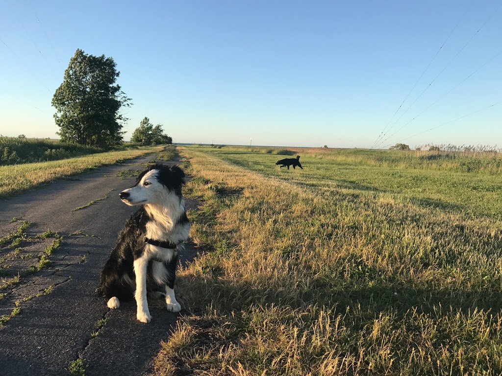 Oakes Road North Leash-Free Dog Park | Oakes Rd N, Grimsby, ON L3M, Canada