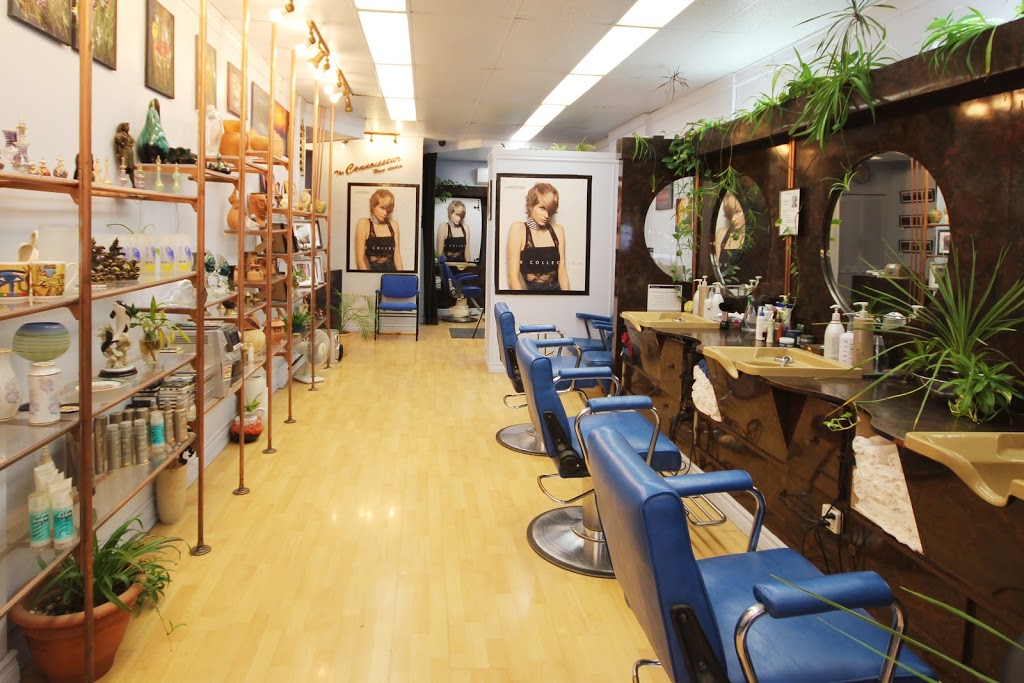 V Studio | 9 Main St, Mississauga, ON L5M 1X4, Canada | Phone: (613) 421-4319