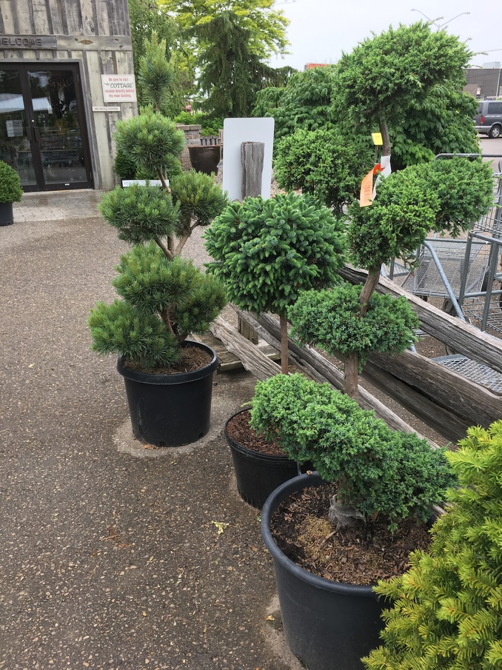 Haights Garden Centre & Landscaping | 1446 Dundas St, Woodstock, ON N4S 7V9, Canada | Phone: (519) 539-9548