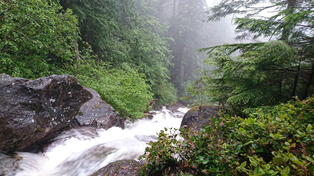 Sea to Sky Gondola | 36800 BC-99, Squamish, BC V0N 3G0, Canada | Phone: (604) 892-2550