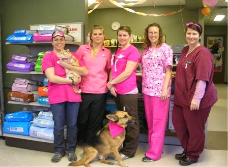 Windrush Veterinary Services | 26 Sixth Concession Road RR #4, Brantford, ON N3T 5L7, Canada | Phone: (519) 449-5080