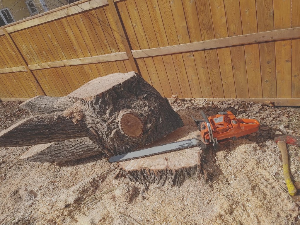 Calgary Tree Cutting | 2212 Palliser Dr SW, Calgary, AB T2V 3S3, Canada | Phone: (403) 601-0376