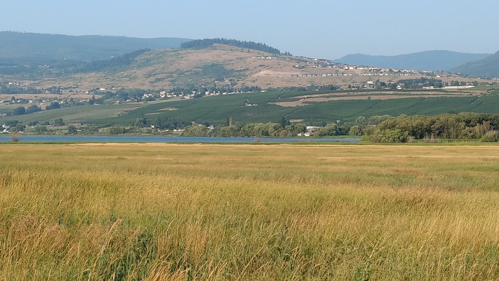 Nature Reserve Swan Lake | North Okanagan B, BC V1H 1P7, Canada