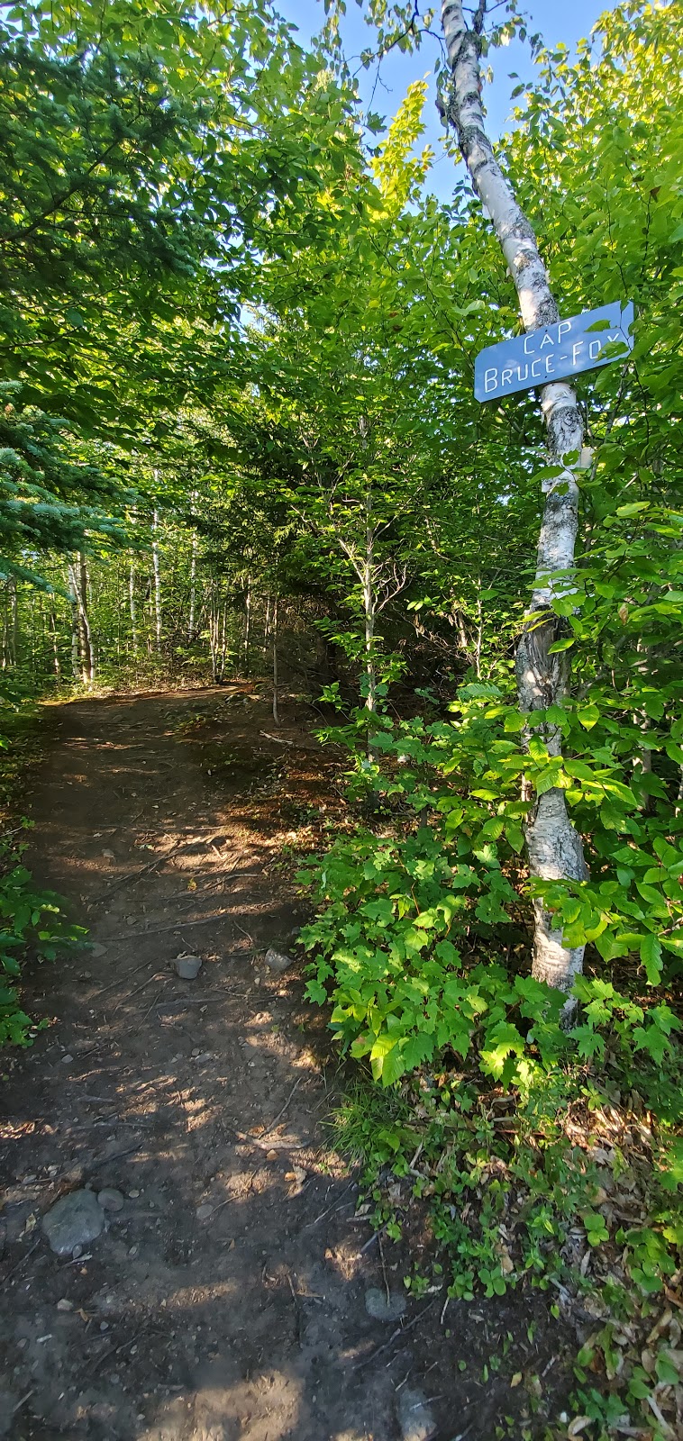 Cap Bruce-Foy | Sainte-Adèle, QC J8B 3L2, Canada | Phone: (450) 229-2921 ext. 8300