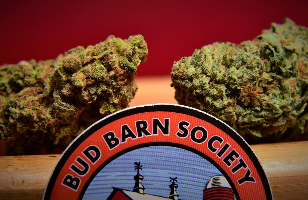 Bud Barn Cannabis Co. | 115 Nicol St, Nanaimo, BC V9R 4T1, Canada | Phone: (778) 441-4119