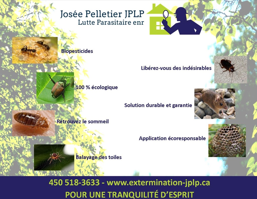 Extermination-J.P.L.P. Lutte parasitaire | 683 Chemin de St Robert, Saint-Robert, QC J0G 1S0, Canada | Phone: (450) 518-3633